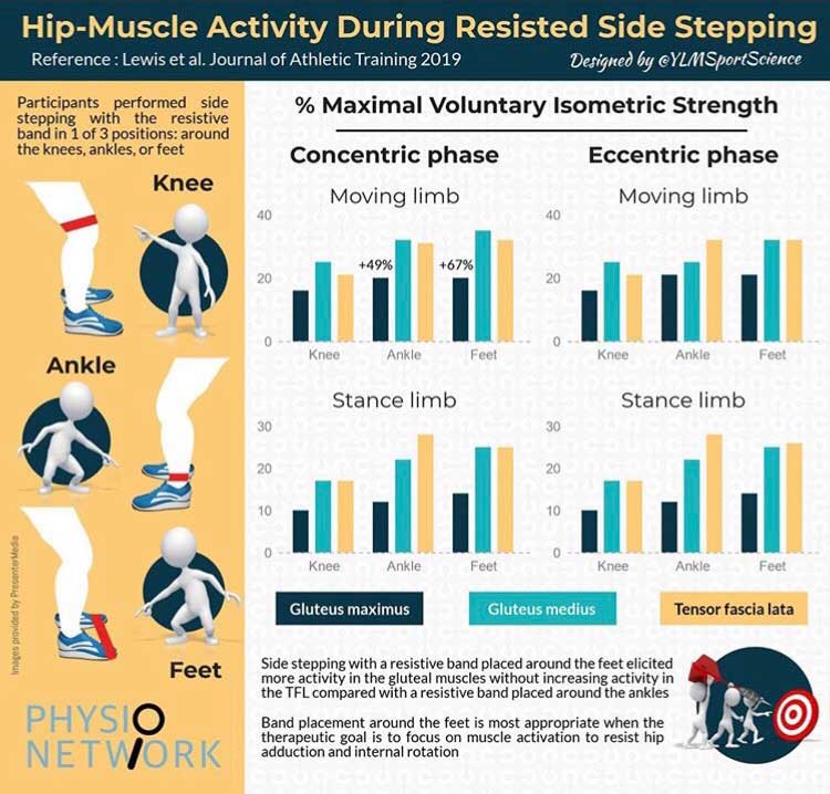 hip muscle activity | Arana Hills Physiotherapy