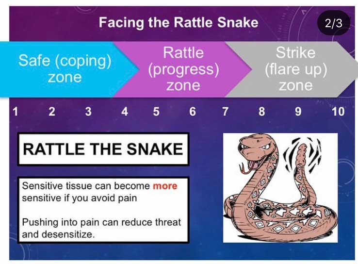 rattle the snake | Arana Hills Physiotherapy